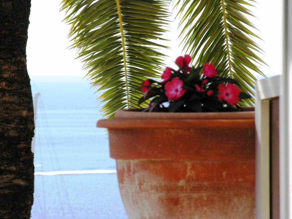 Hotel La Flore Villefranche-sur-Mer Oda fotoğraf